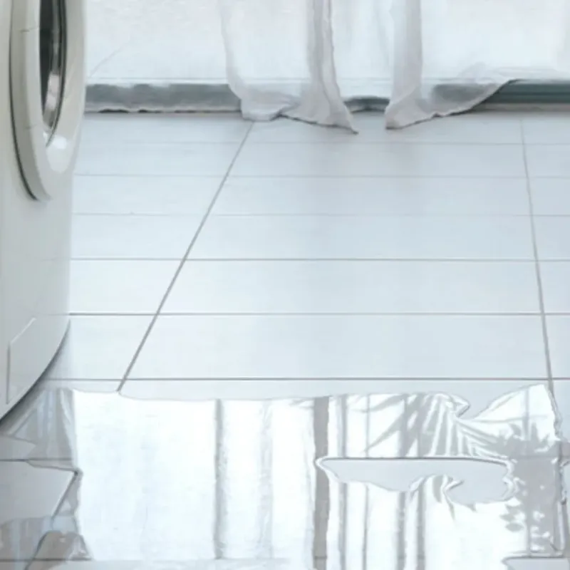 Appliance Leak Cleanup in Chenango County, NY