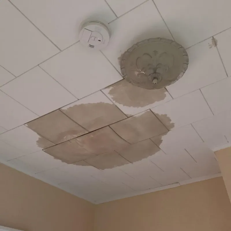Ceiling Water Damage Repair in Chenango County, NY