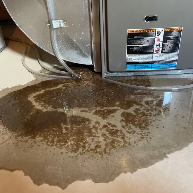 Pipe Burst and Leak Restoration in Chenango County, NY