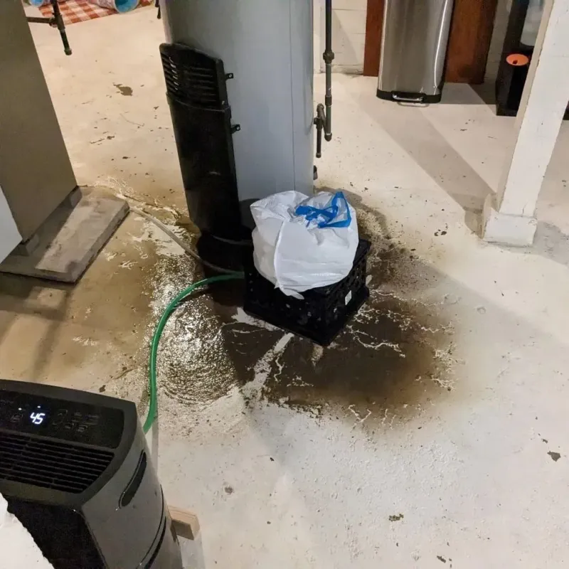 Sewage Backup Cleanup Service in Chenango County, NY